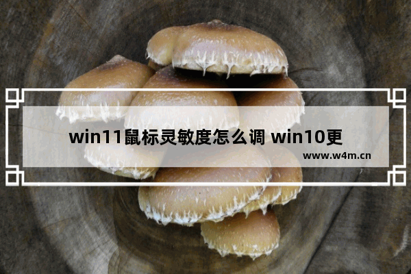 win11鼠标灵敏度怎么调 win10更改鼠标灵敏度的方法