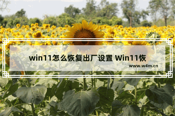 win11怎么恢复出厂设置 Win11恢复系统的方法