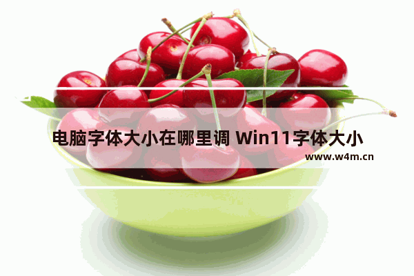 电脑字体大小在哪里调 Win11字体大小调节方法