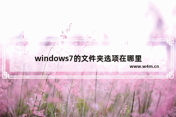 windows7的文件夹选项在哪里