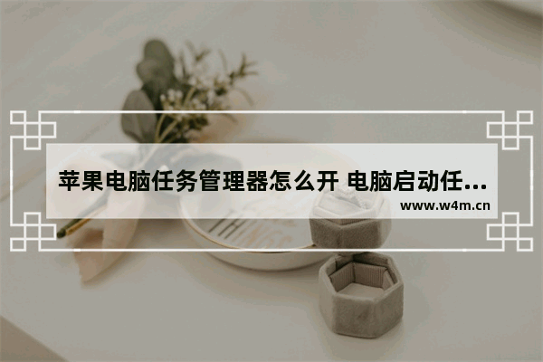 苹果电脑任务管理器怎么开 电脑启动任务管理器快捷键方法