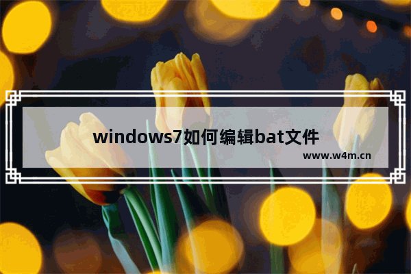 windows7如何编辑bat文件