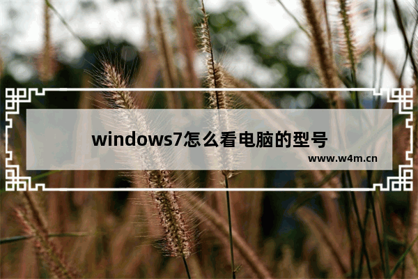 windows7怎么看电脑的型号