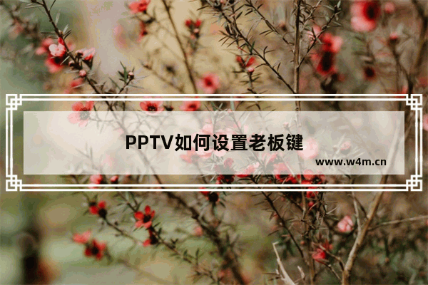 PPTV如何设置老板键