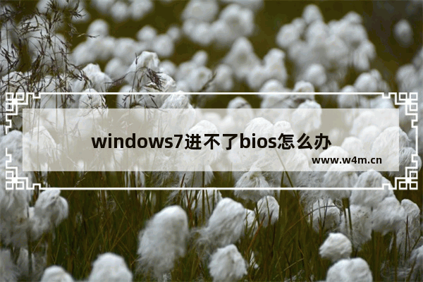 windows7进不了bios怎么办