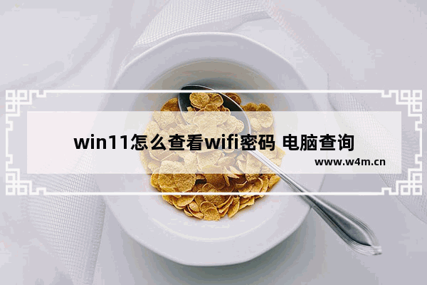 win11怎么查看wifi密码 电脑查询wifi密码的方法