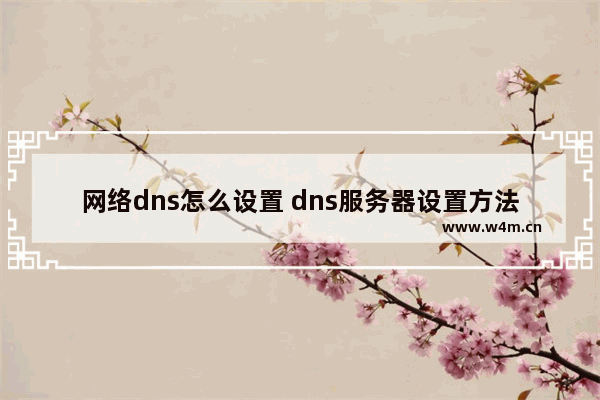 网络dns怎么设置 dns服务器设置方法