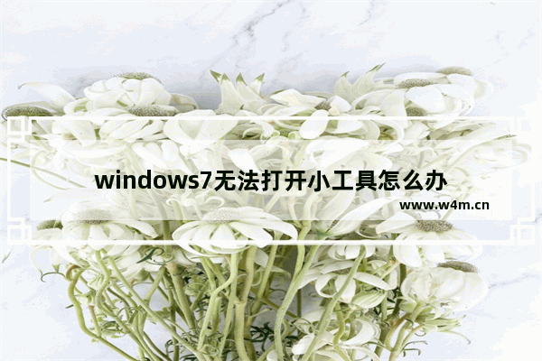 windows7无法打开小工具怎么办