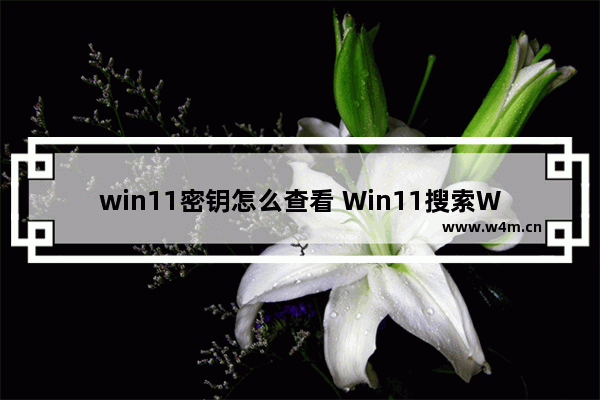 win11密钥怎么查看 Win11搜索WiFi密码教程