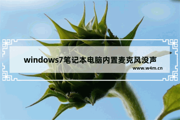 windows7笔记本电脑内置麦克风没声音怎么办