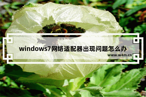 windows7网络适配器出现问题怎么办