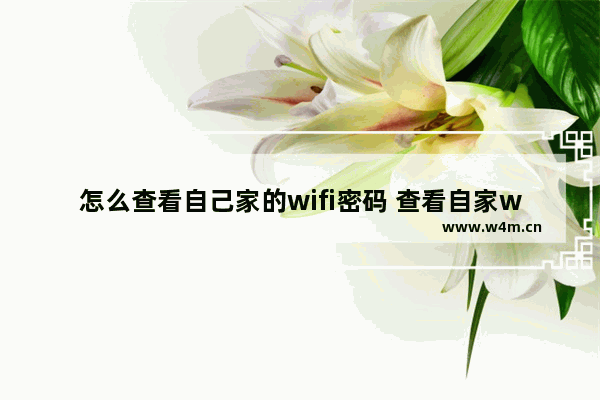 怎么查看自己家的wifi密码 查看自家wifi密码的方法