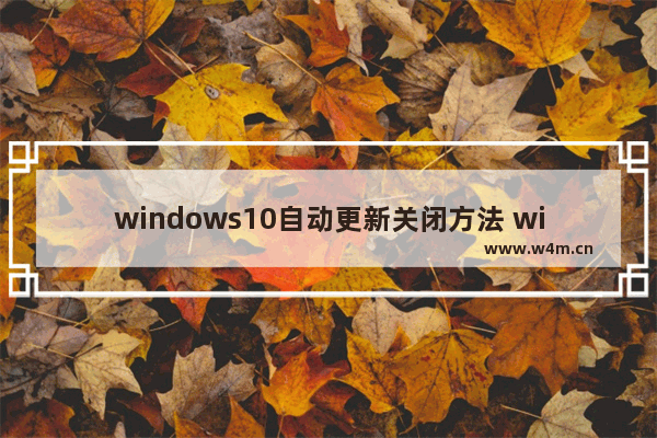 windows10自动更新关闭方法 win10怎么关闭自动更新