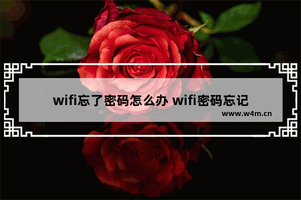 wifi忘了密码怎么办 wifi密码忘记的解决方法