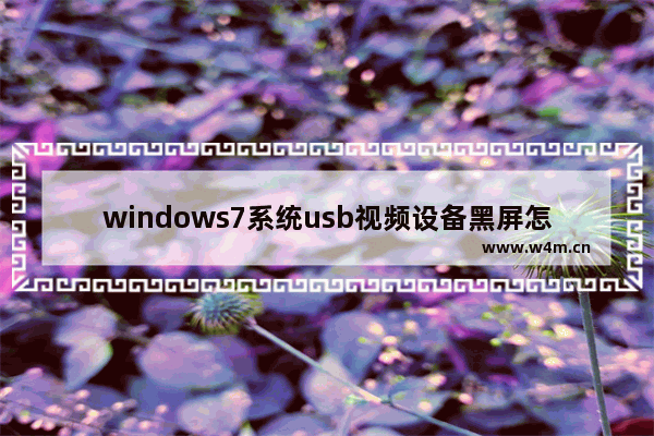 windows7系统usb视频设备黑屏怎么办