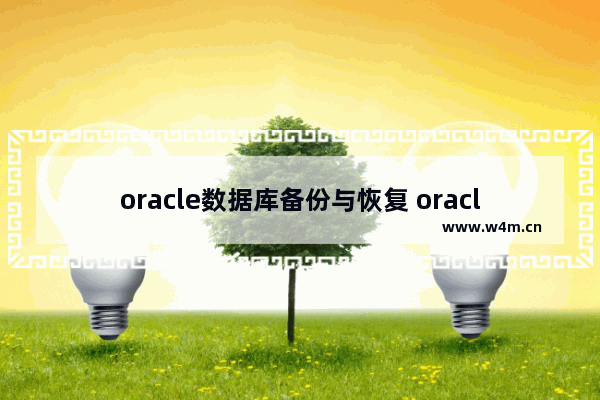 oracle数据库备份与恢复 oracle全库备份恢复详细步骤