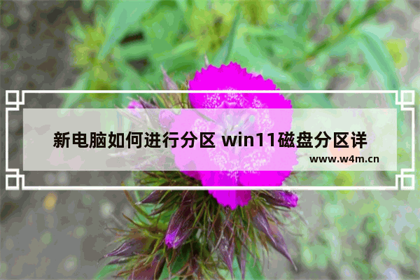 新电脑如何进行分区 win11磁盘分区详细教程