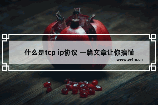 什么是tcp ip协议 一篇文章让你搞懂什么是TCP/IP协议