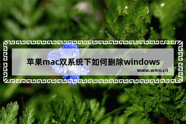 苹果mac双系统下如何删除windows7系统