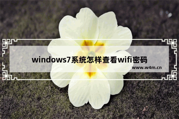 windows7系统怎样查看wifi密码