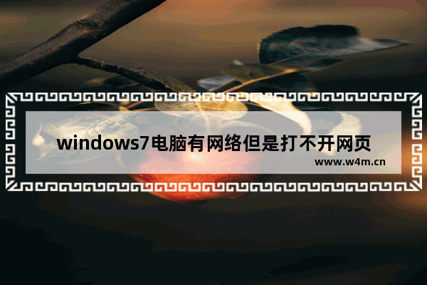 windows7电脑有网络但是打不开网页解决方法