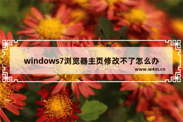 windows7浏览器主页修改不了怎么办