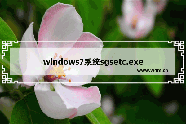 windows7系统sgsetc.exe应用程序错误解决方法