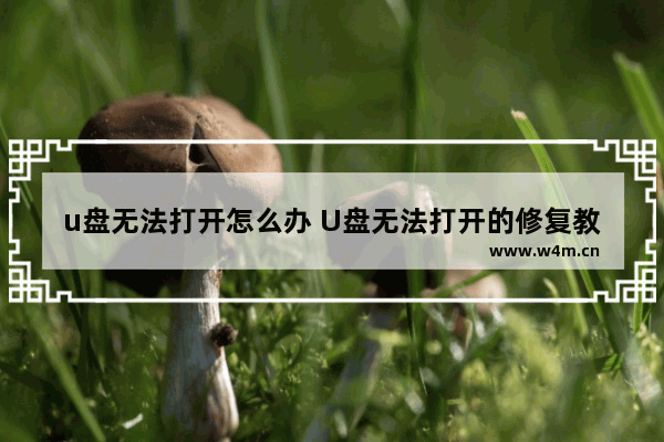 u盘无法打开怎么办 U盘无法打开的修复教程