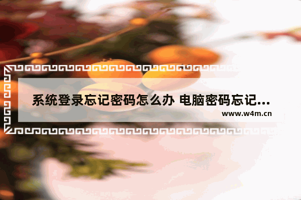 系统登录忘记密码怎么办 电脑密码忘记后如何重置密码