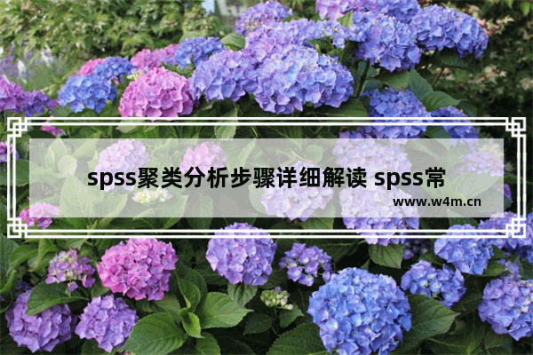 spss聚类分析步骤详细解读 spss常用的数据分析方法