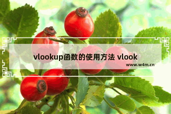 vlookup函数的使用方法 vlookup函数用法大全