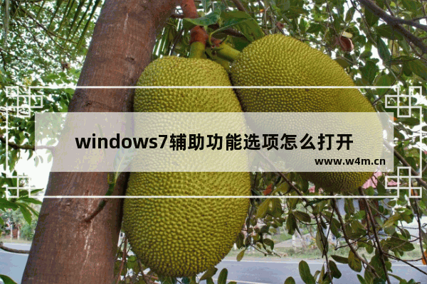 windows7辅助功能选项怎么打开