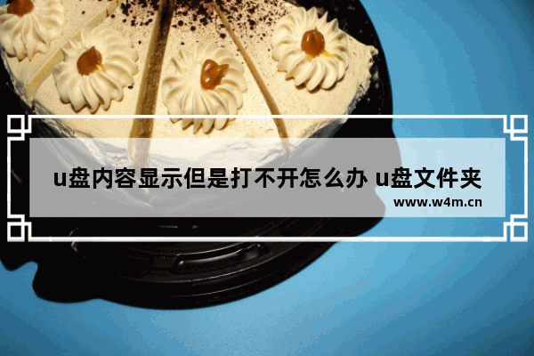 u盘内容显示但是打不开怎么办 u盘文件夹打不开是怎么回事