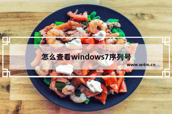 怎么查看windows7序列号