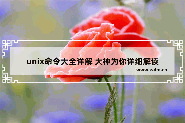 unix命令大全详解 大神为你详细解读