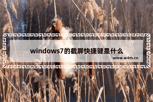 windows7的截屏快捷键是什么