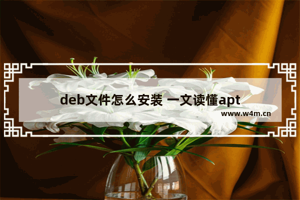 deb文件怎么安装 一文读懂apt