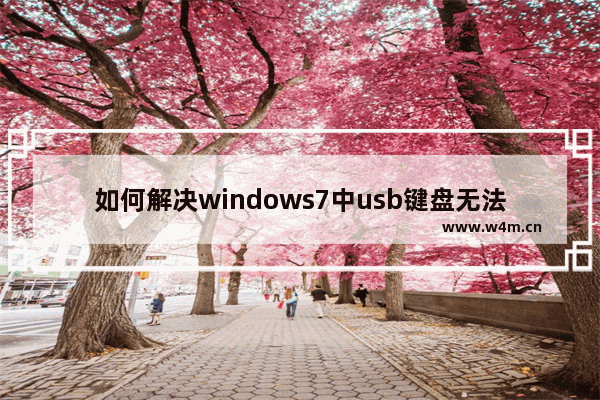 如何解决windows7中usb键盘无法识别