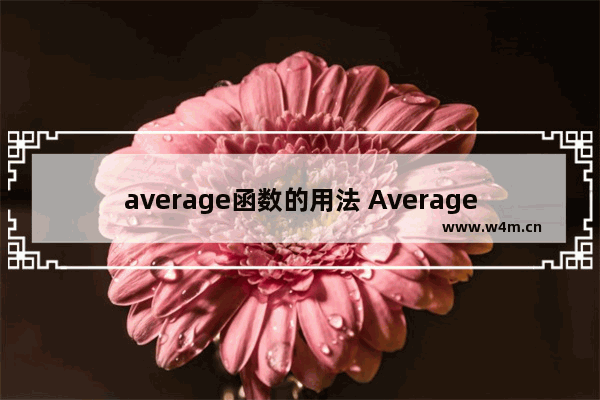 average函数的用法 Average系列函数应用技巧解读