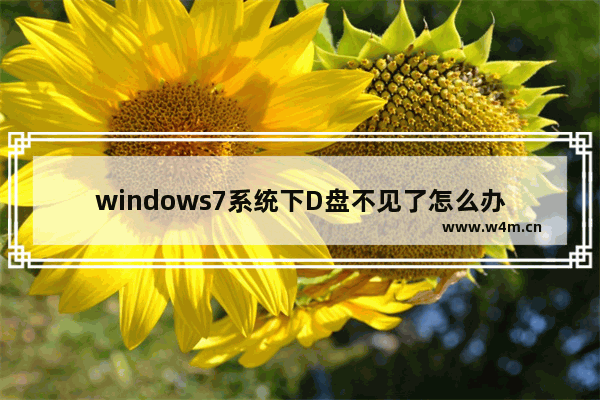 windows7系统下D盘不见了怎么办