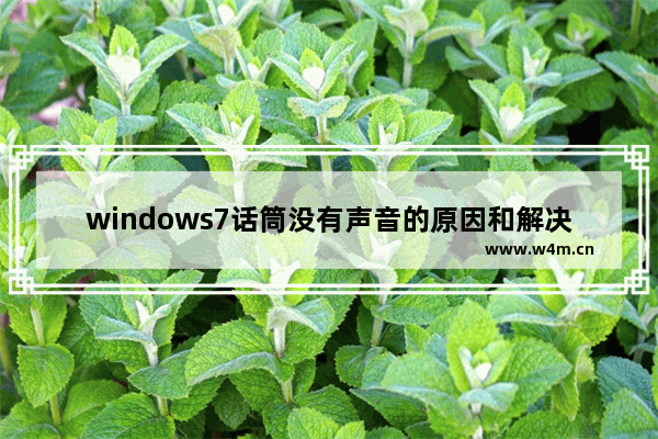 windows7话筒没有声音的原因和解决方案