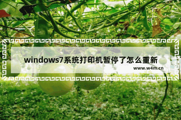 windows7系统打印机暂停了怎么重新开启