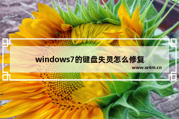 windows7的键盘失灵怎么修复