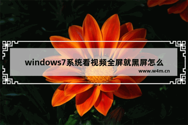 windows7系统看视频全屏就黑屏怎么解决