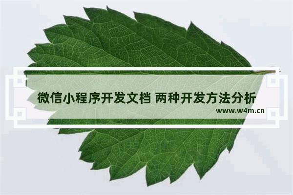 微信小程序开发文档 两种开发方法分析