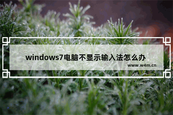 windows7电脑不显示输入法怎么办 windows7电脑输入法不显示怎么办