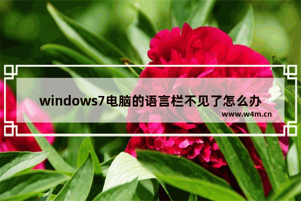 windows7电脑的语言栏不见了怎么办 windows7电脑语言栏不见了怎么办