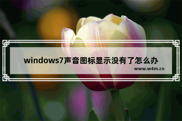 windows7声音图标显示没有了怎么办 windows7声音图标不见了怎么办