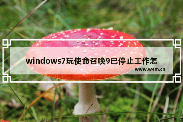 windows7玩使命召唤9已停止工作怎么回事 windows7打开使命召唤9就已停止工作如何解决