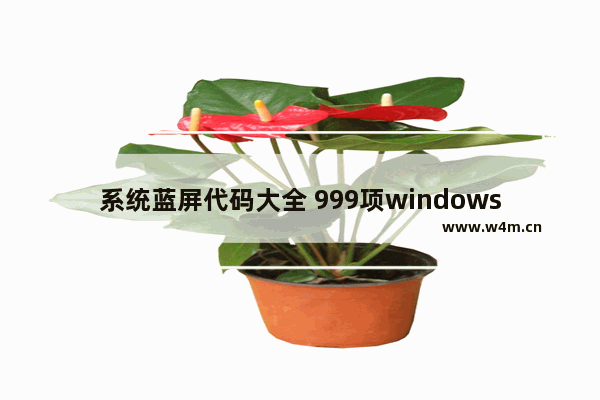 系统蓝屏代码大全 999项windows系统蓝屏代码大全